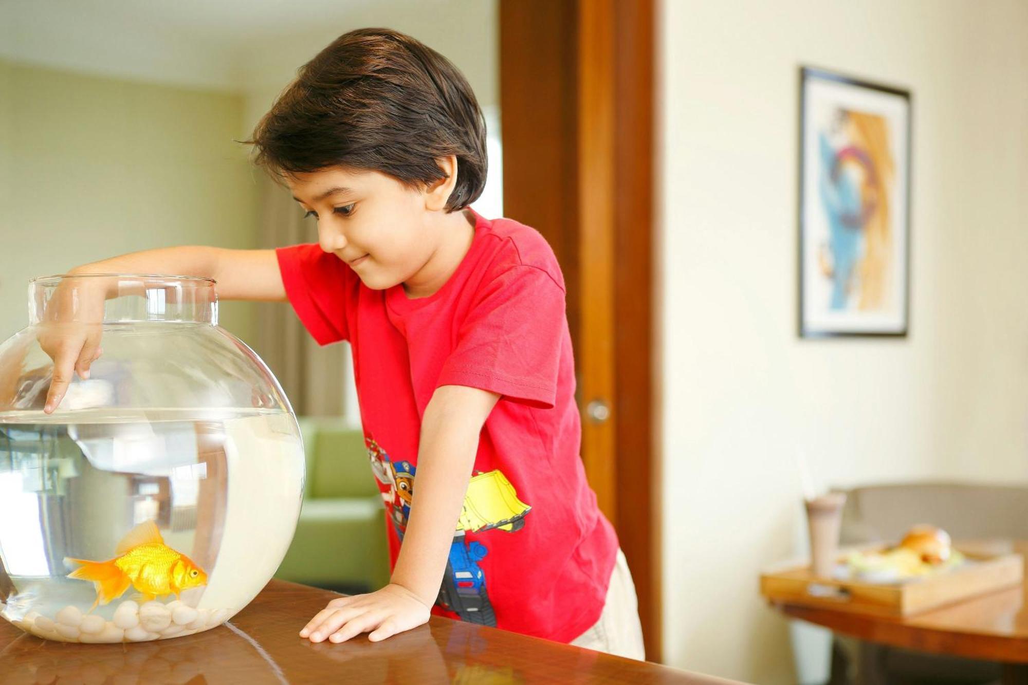 The Westin Koregaon Park 5*
